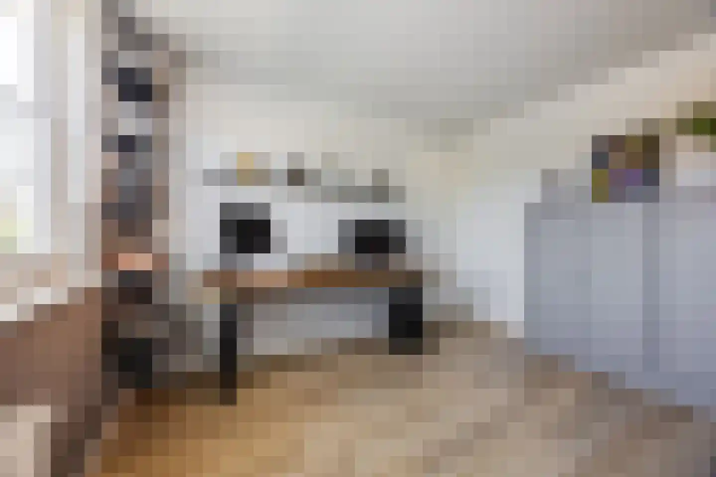 Douwes Dekkerlaan 21 Papendrecht thumbnail 18