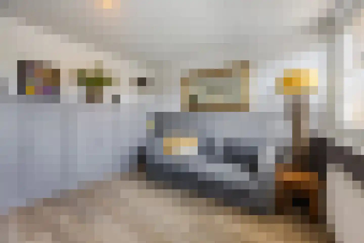 Douwes Dekkerlaan 21 Papendrecht thumbnail 19