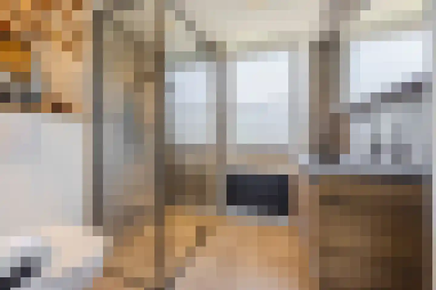 Douwes Dekkerlaan 21 Papendrecht thumbnail 23