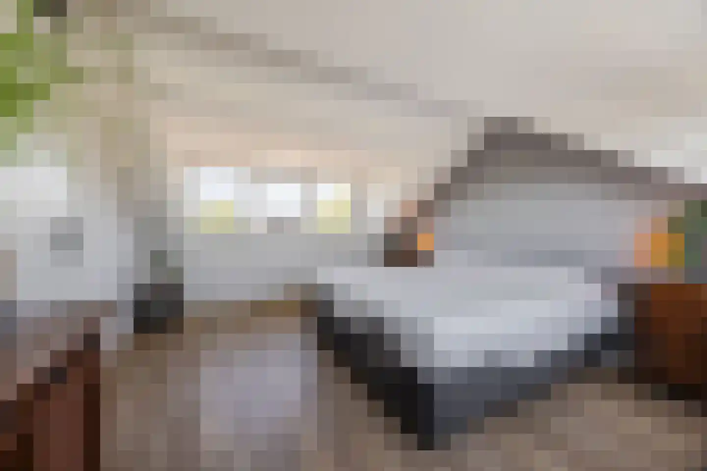 Douwes Dekkerlaan 21 Papendrecht thumbnail 29