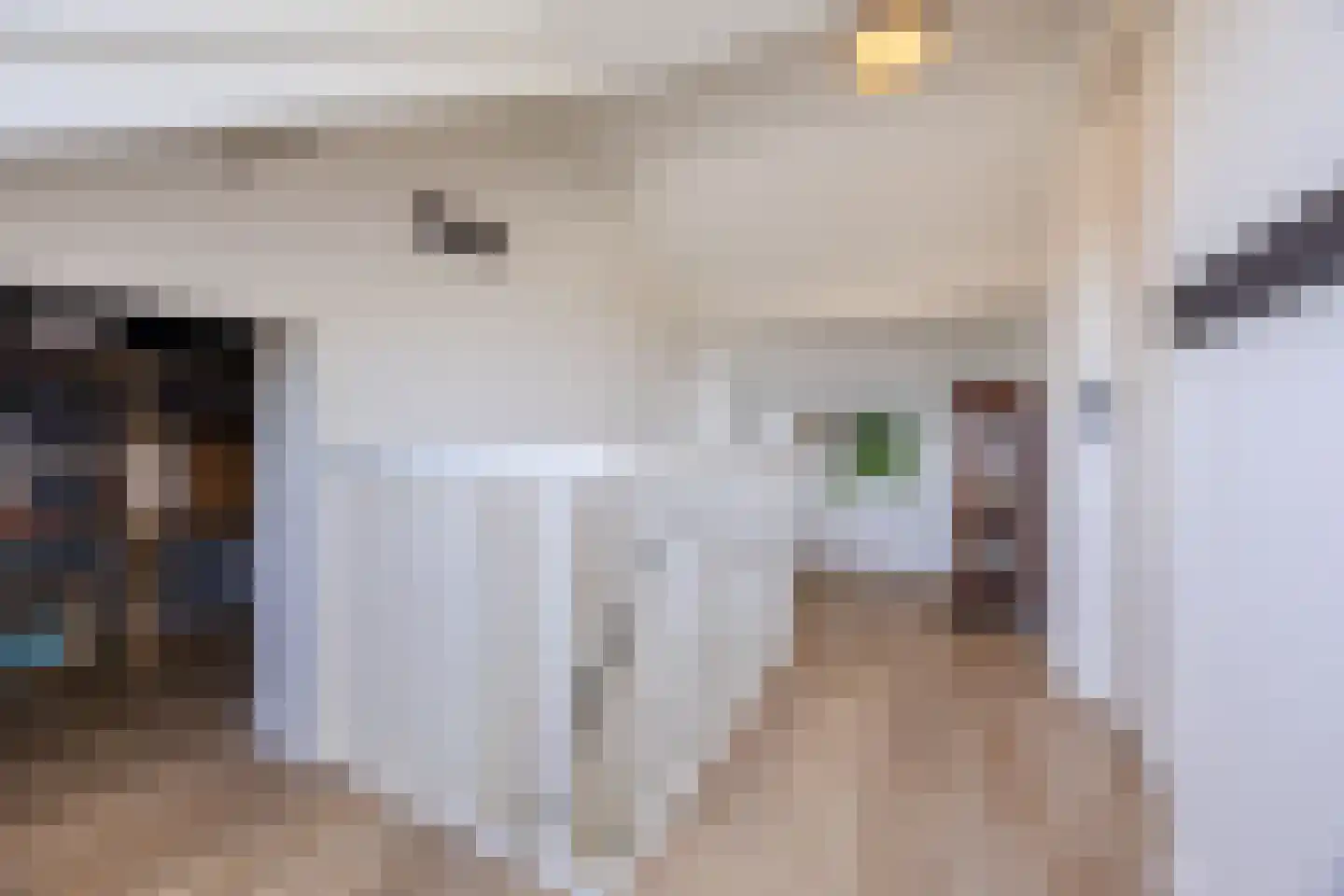 Douwes Dekkerlaan 21 Papendrecht thumbnail 30