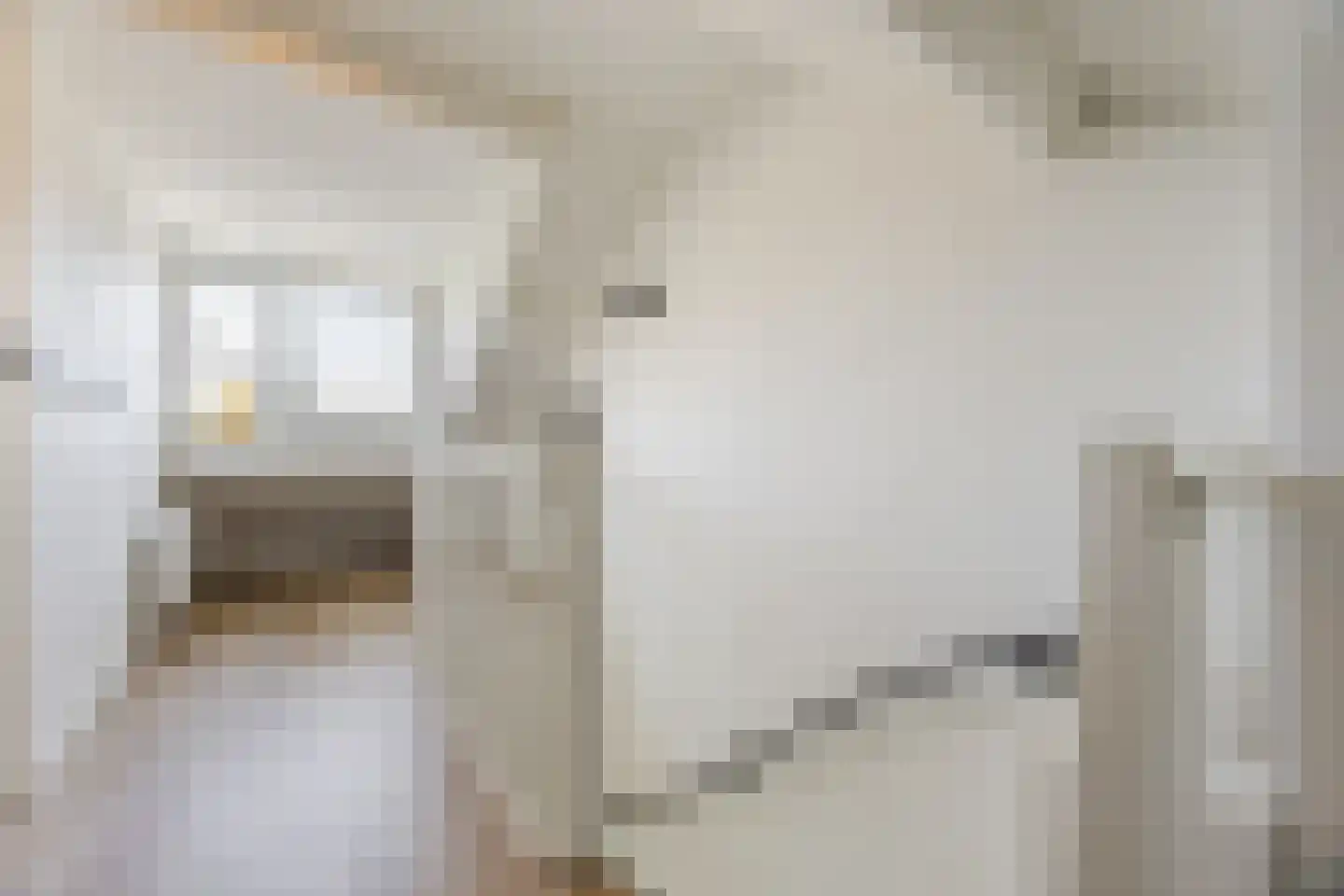 Douwes Dekkerlaan 21 Papendrecht thumbnail 31