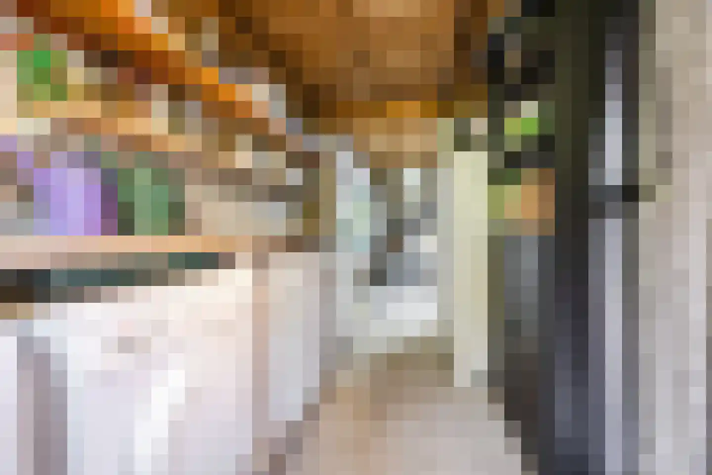Douwes Dekkerlaan 21 Papendrecht thumbnail 35