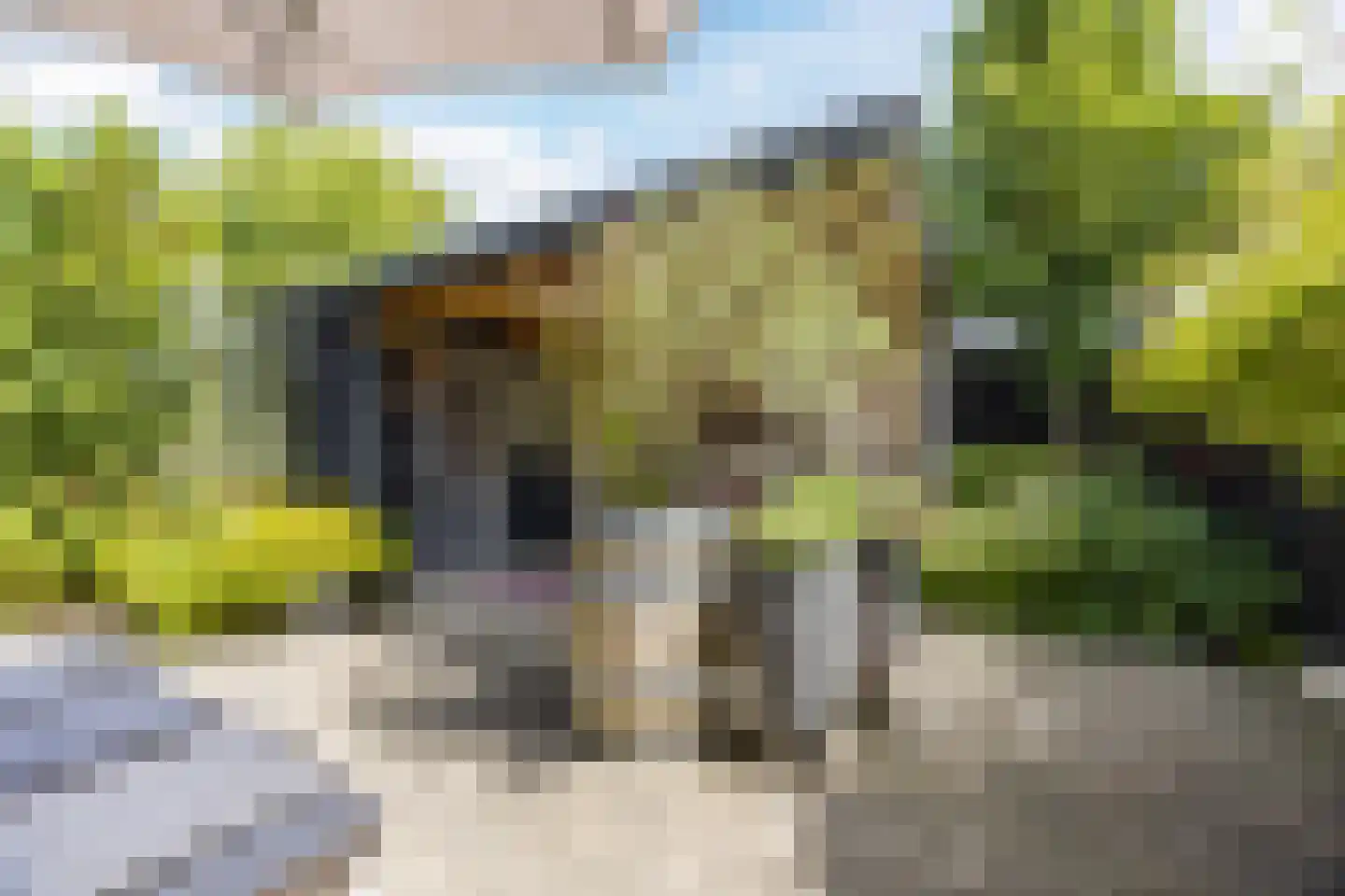 Douwes Dekkerlaan 21 Papendrecht thumbnail 40