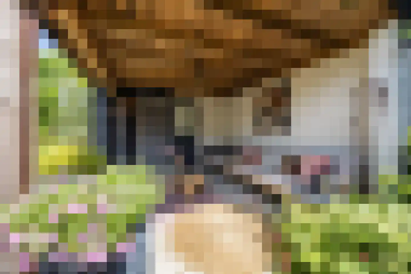 Douwes Dekkerlaan 21 Papendrecht thumbnail 41