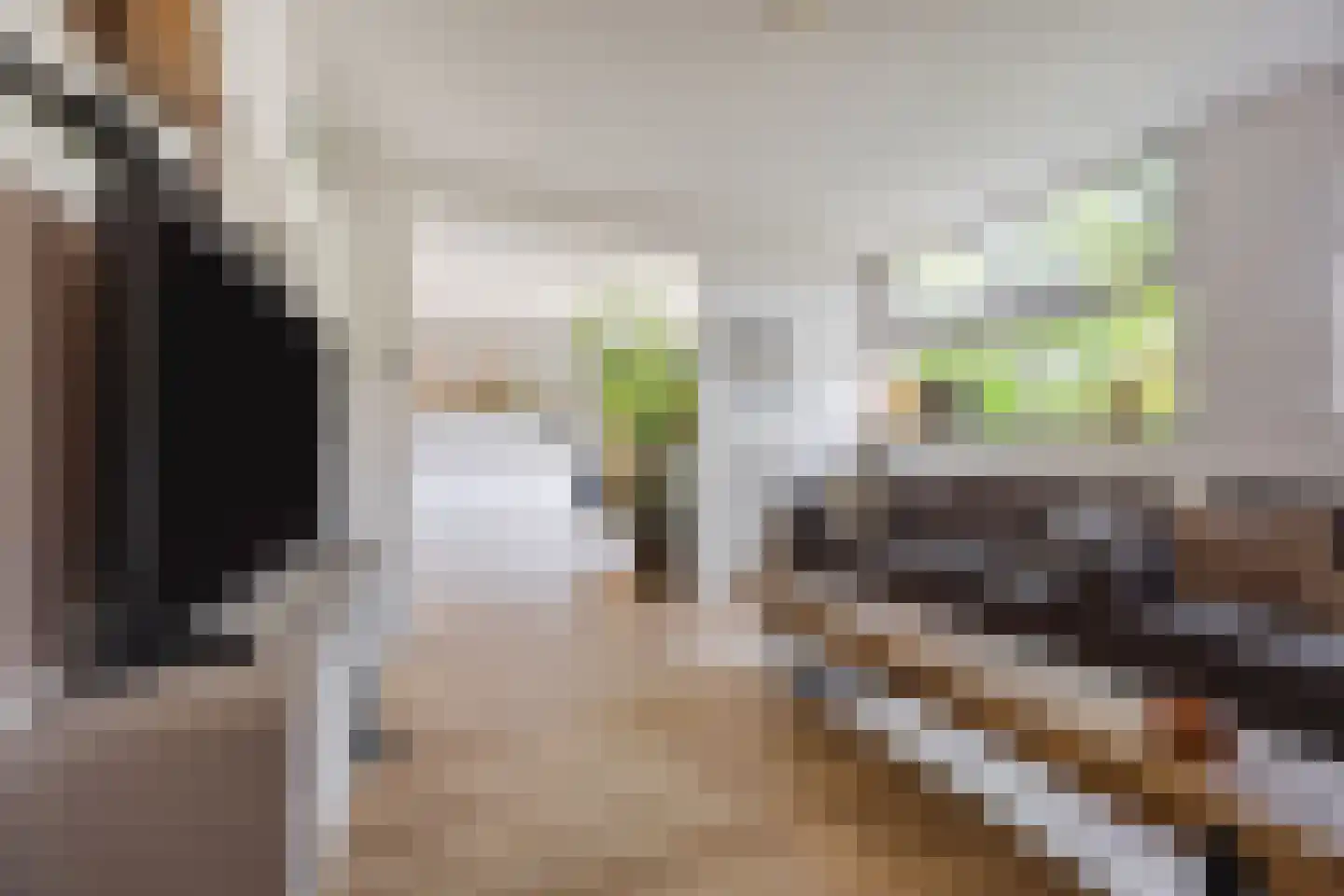 Douwes Dekkerlaan 21 Papendrecht thumbnail 6