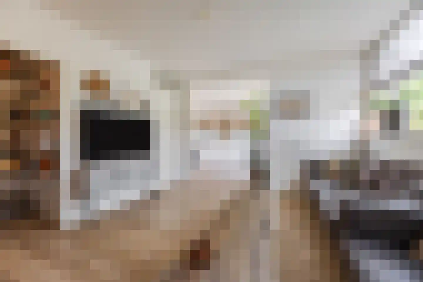 Douwes Dekkerlaan 21 Papendrecht thumbnail 7