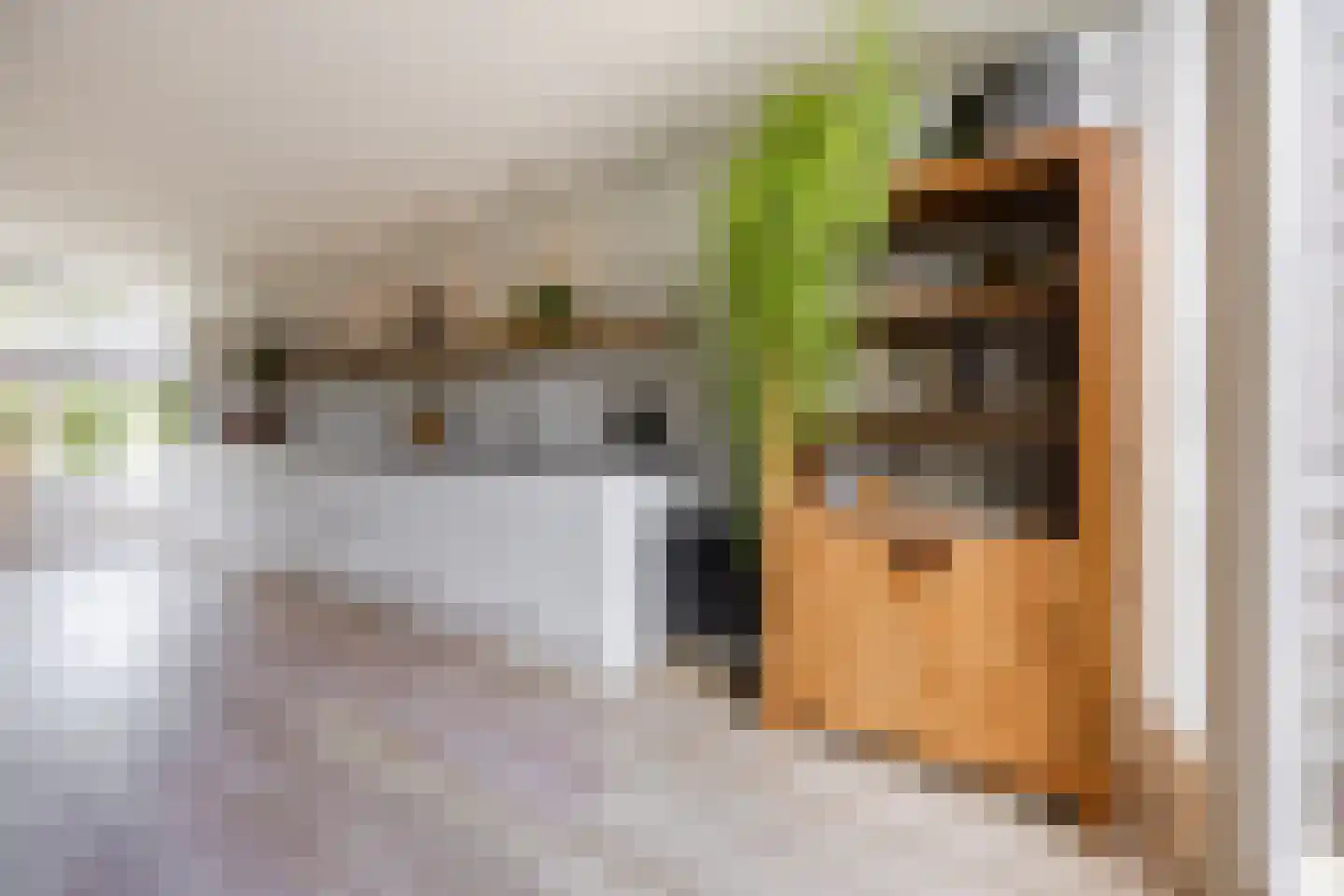 Douwes Dekkerlaan 21 Papendrecht thumbnail 9