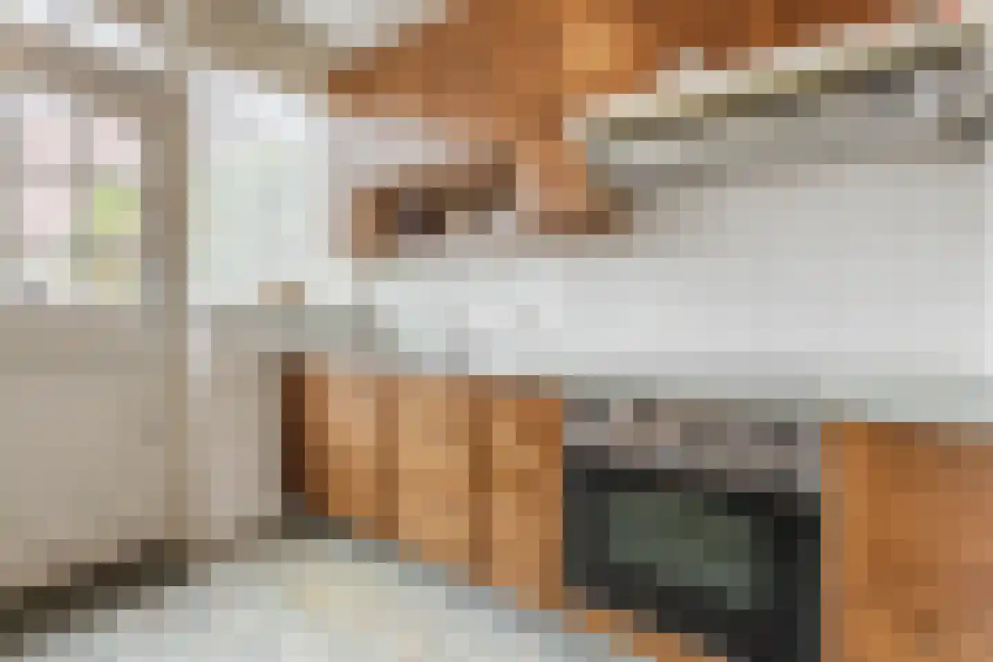 Douwes Dekkerlaan 210 Papendrecht thumbnail 11