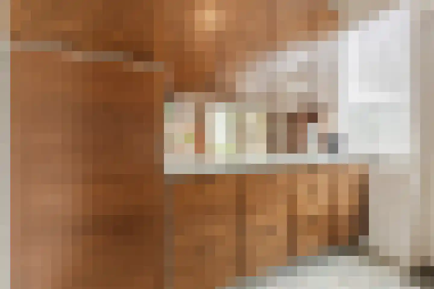 Douwes Dekkerlaan 210 Papendrecht thumbnail 13