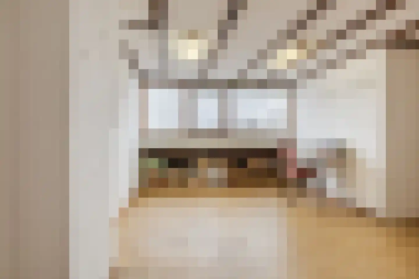 Douwes Dekkerlaan 210 Papendrecht thumbnail 30