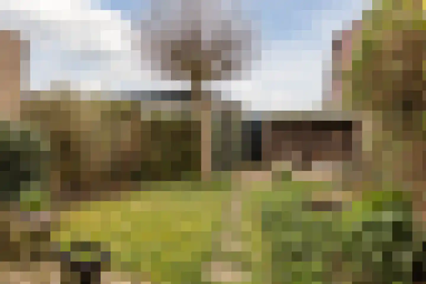 Douwes Dekkerlaan 210 Papendrecht thumbnail 36