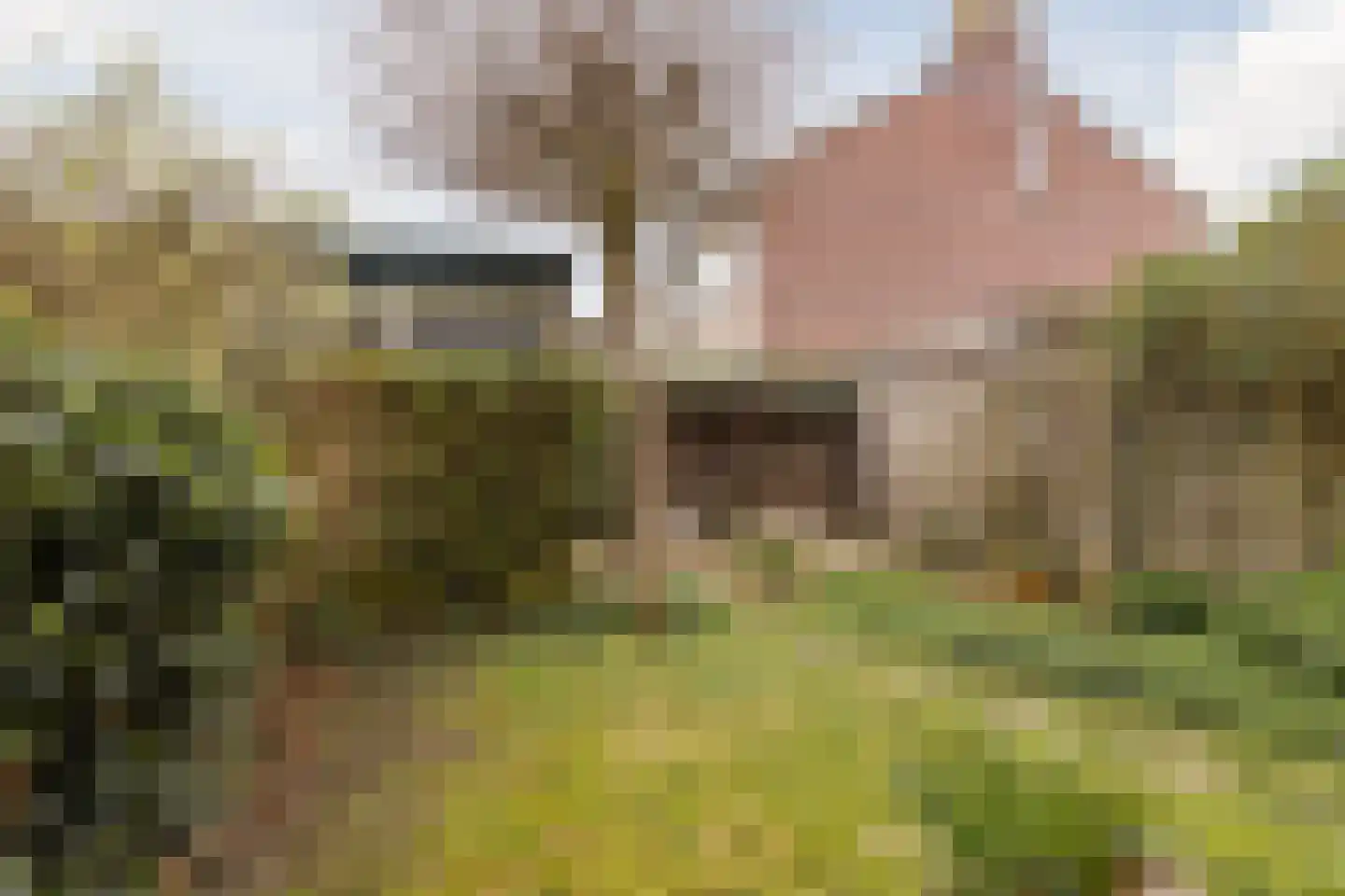 Douwes Dekkerlaan 210 Papendrecht thumbnail 37