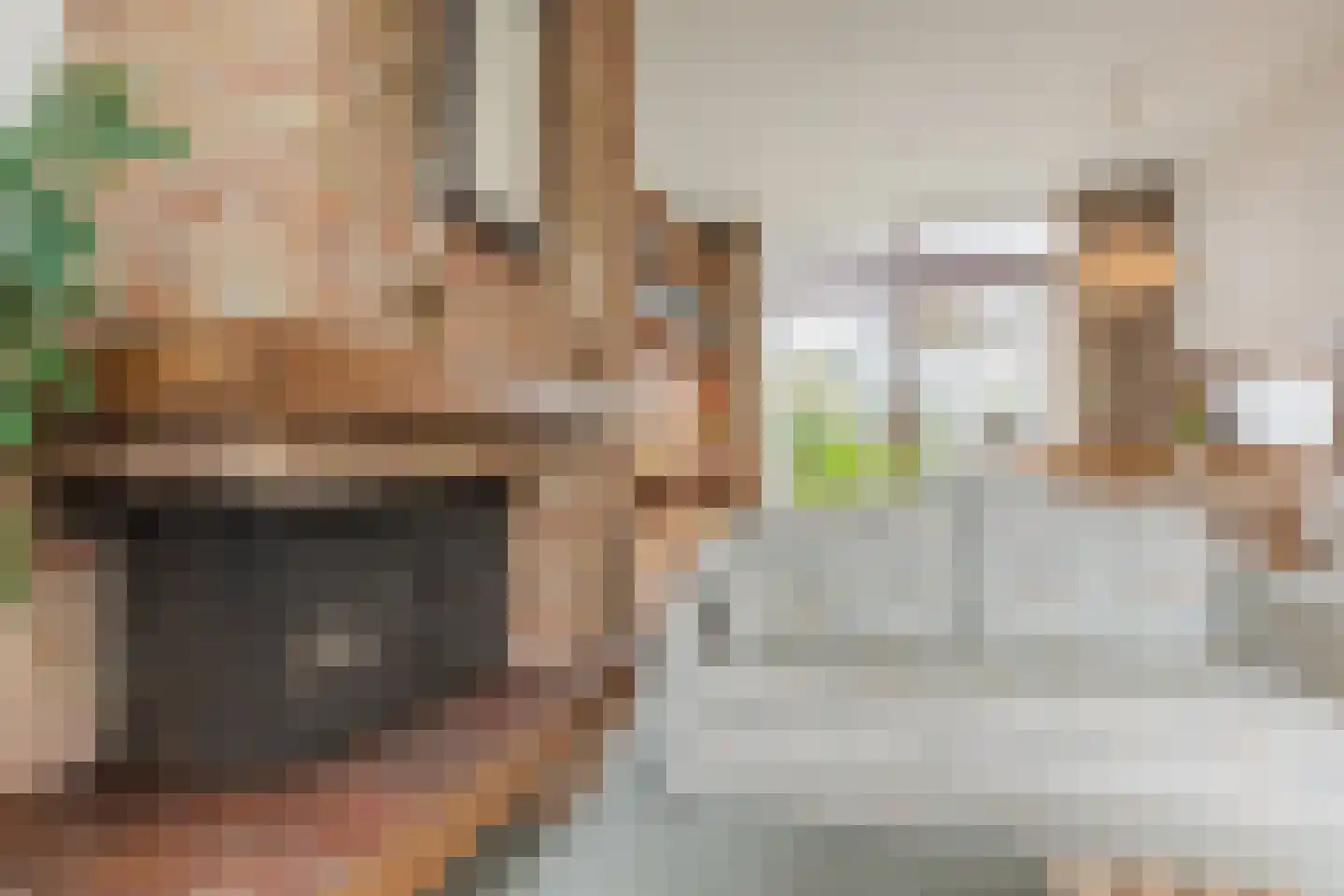 Douwes Dekkerlaan 210 Papendrecht thumbnail 5