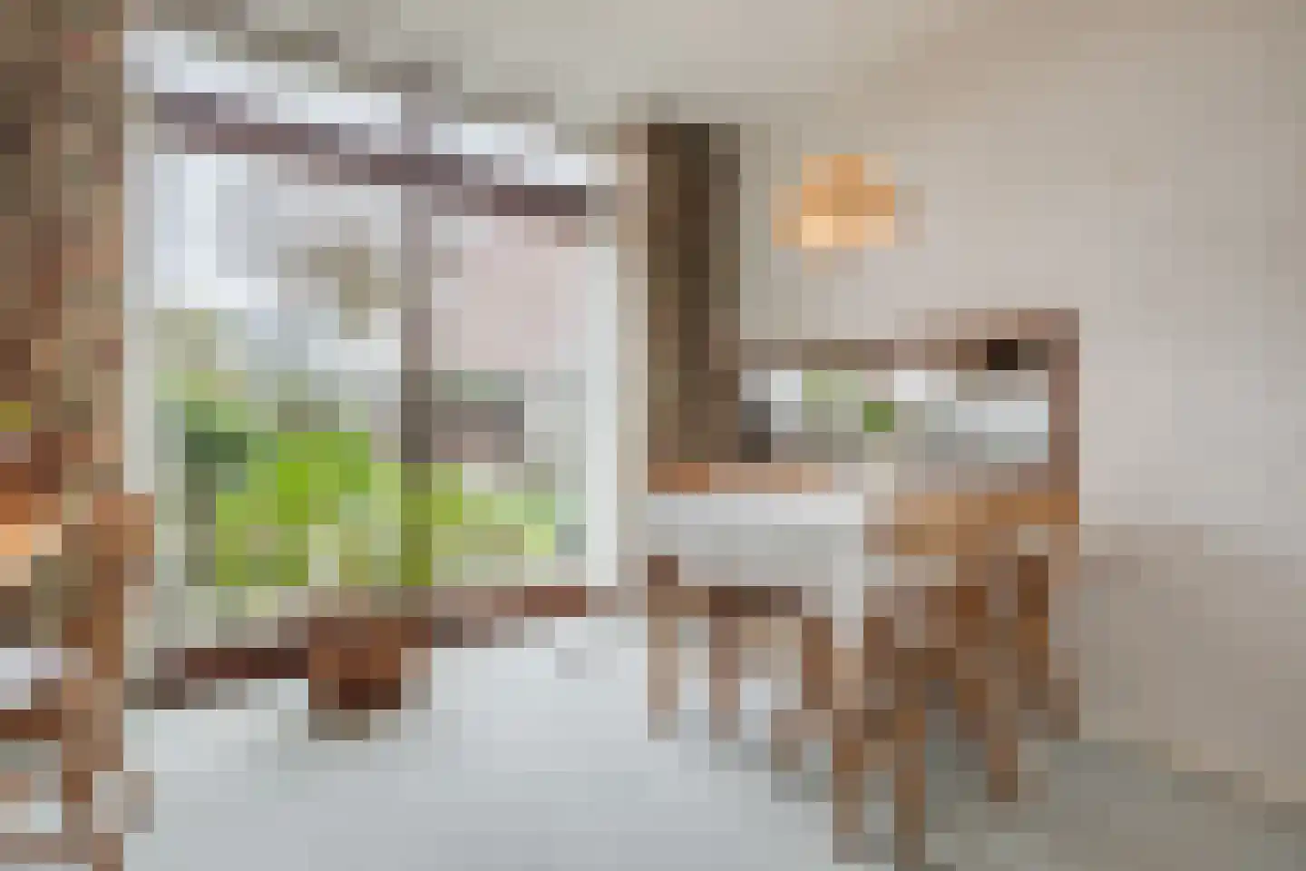 Douwes Dekkerlaan 210 Papendrecht thumbnail 6
