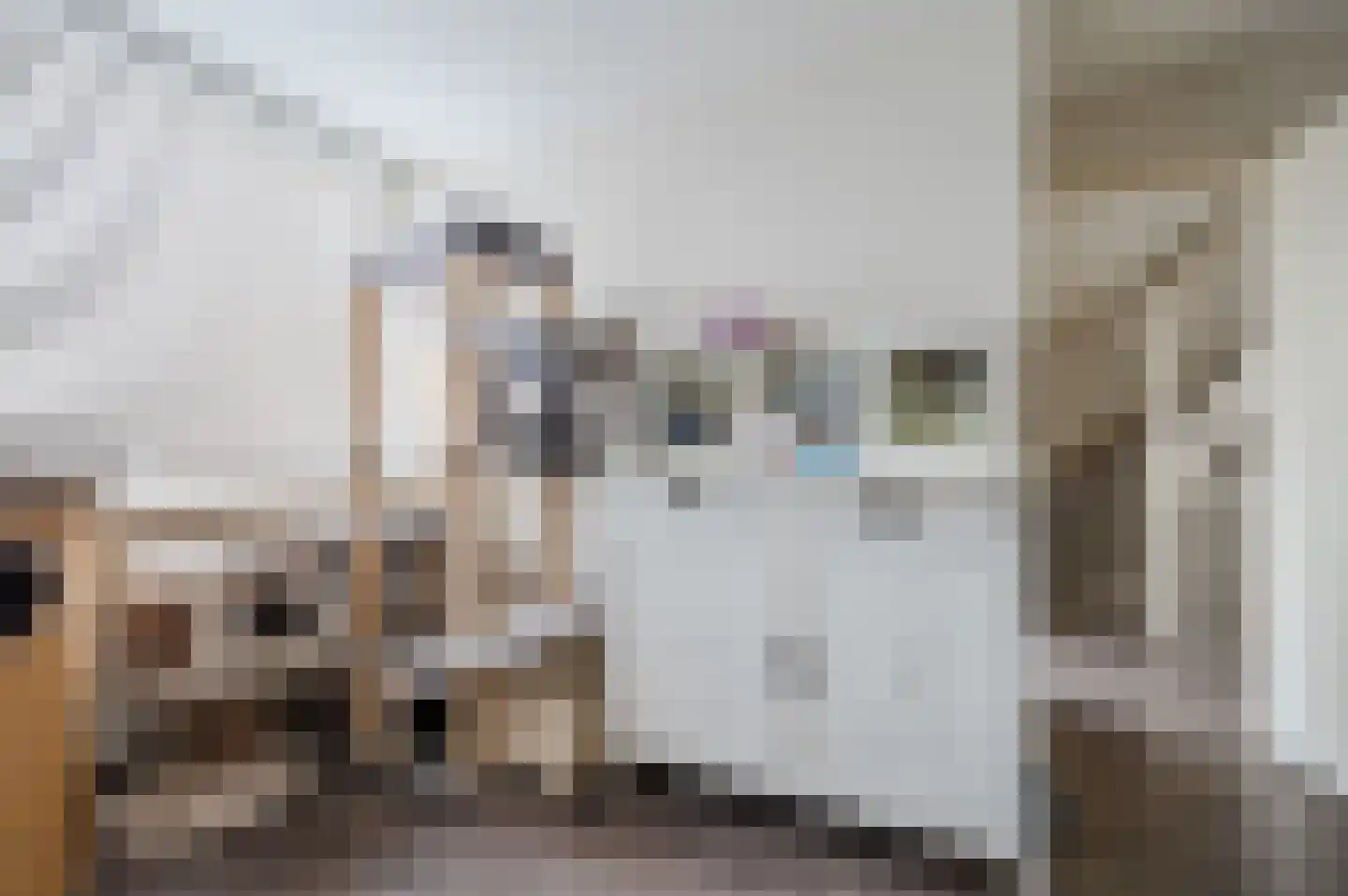 Douwes Dekkerlaan 216 Papendrecht thumbnail 17