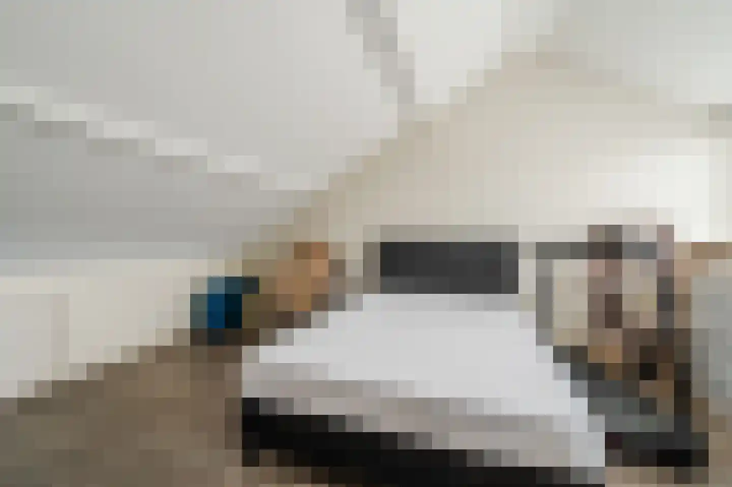 Douwes Dekkerlaan 216 Papendrecht thumbnail 21