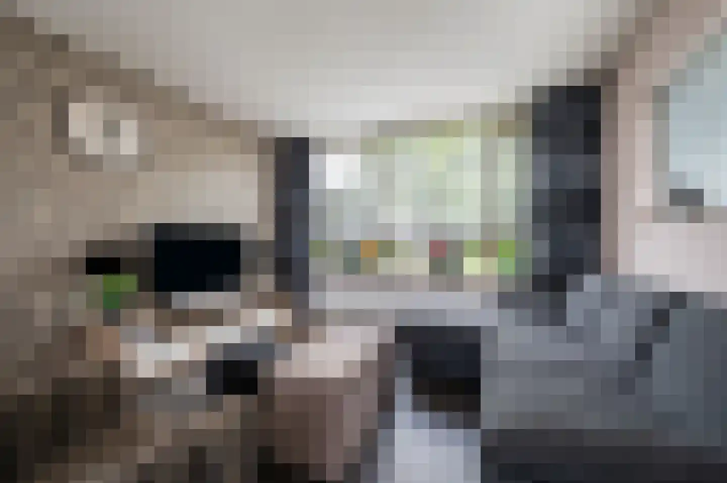 Douwes Dekkerlaan 216 Papendrecht thumbnail 4