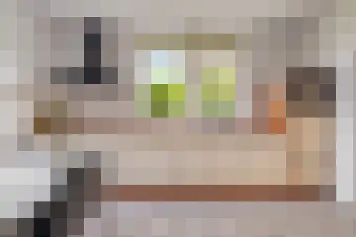 Douwes Dekkerlaan 80 Bergschenhoek thumbnail 11