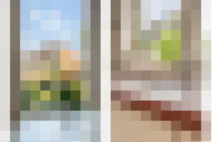Douwes Dekkerlaan 80 Bergschenhoek thumbnail 12