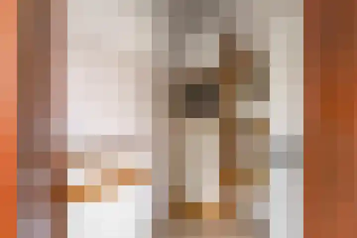 Douwes Dekkerlaan 80 Bergschenhoek thumbnail 13
