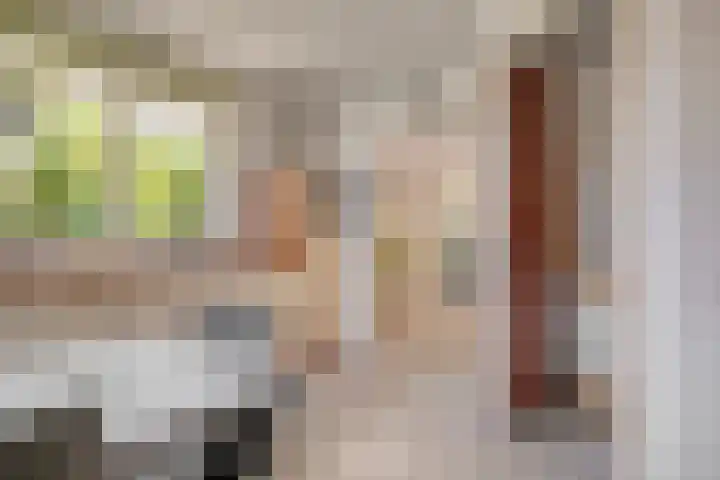 Douwes Dekkerlaan 80 Bergschenhoek thumbnail 14