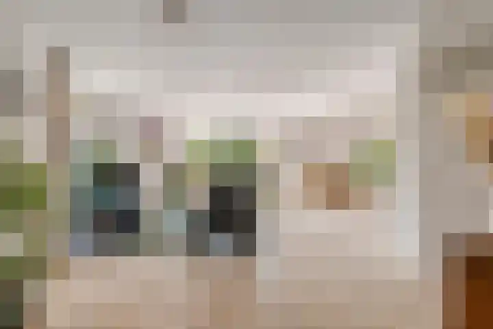 Douwes Dekkerlaan 80 Bergschenhoek thumbnail 15