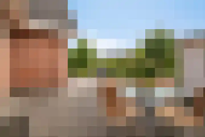 Douwes Dekkerlaan 80 Bergschenhoek thumbnail 16
