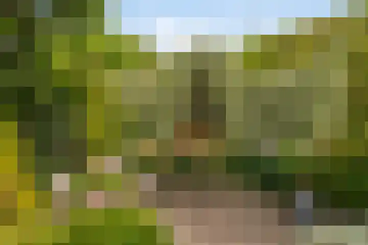 Douwes Dekkerlaan 80 Bergschenhoek thumbnail 18