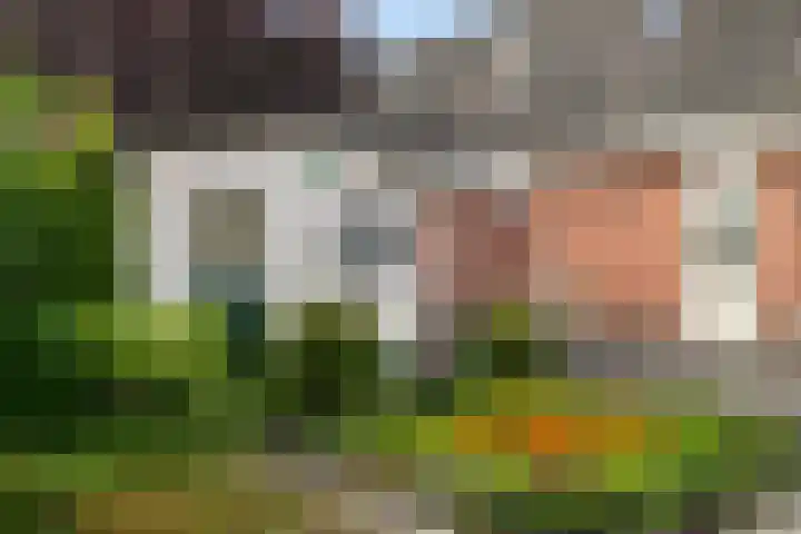 Douwes Dekkerlaan 80 Bergschenhoek thumbnail 20