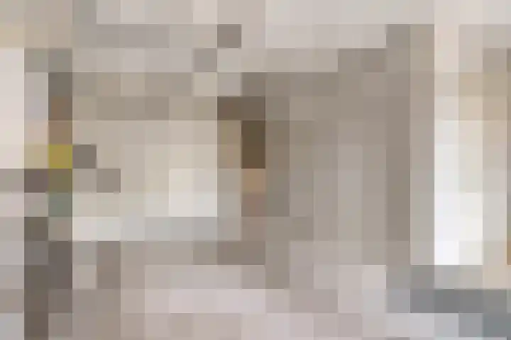 Douwes Dekkerlaan 80 Bergschenhoek thumbnail 21