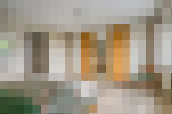Douwes Dekkerlaan 80 Bergschenhoek thumbnail 28