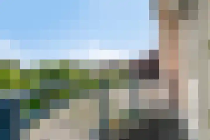 Douwes Dekkerlaan 80 Bergschenhoek thumbnail 29