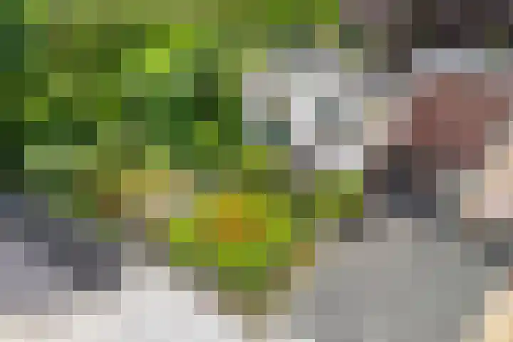 Douwes Dekkerlaan 80 Bergschenhoek thumbnail 30