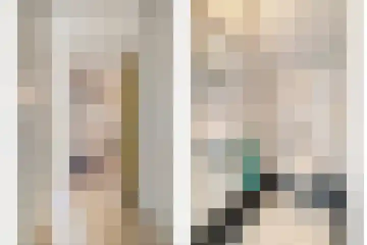Douwes Dekkerlaan 80 Bergschenhoek thumbnail 31