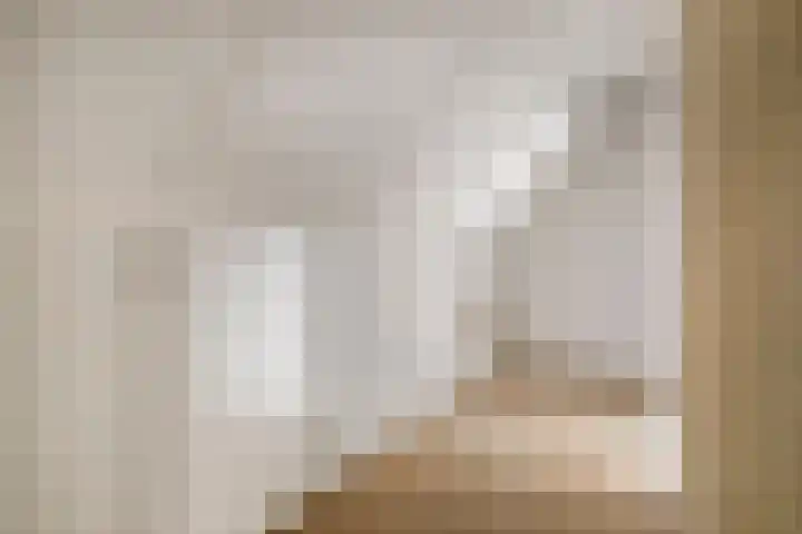 Douwes Dekkerlaan 80 Bergschenhoek thumbnail 39
