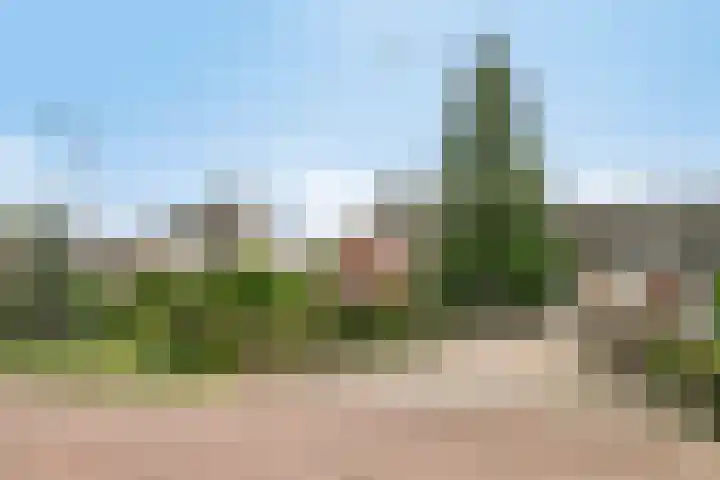 Douwes Dekkerlaan 80 Bergschenhoek thumbnail 4