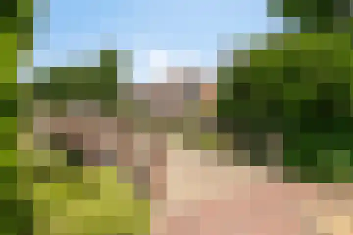 Douwes Dekkerlaan 80 Bergschenhoek thumbnail 41