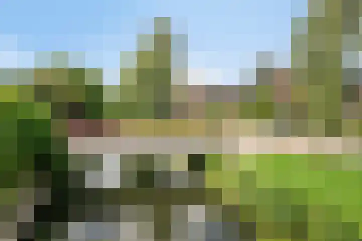Douwes Dekkerlaan 80 Bergschenhoek thumbnail 42