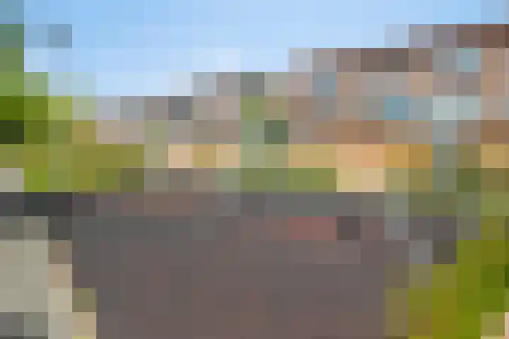 Douwes Dekkerlaan 80 Bergschenhoek thumbnail 43