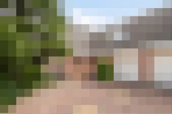 Douwes Dekkerlaan 80 Bergschenhoek thumbnail 5