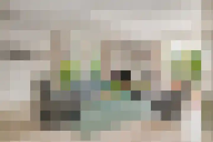 Douwes Dekkerlaan 80 Bergschenhoek thumbnail 7