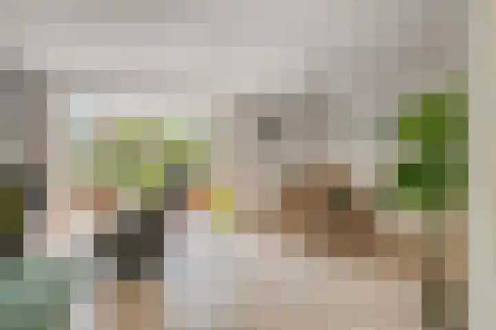 Douwes Dekkerlaan 80 Bergschenhoek thumbnail 8