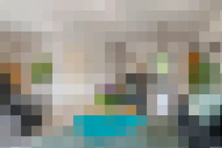 Douwes Dekkerlaan 80 Bergschenhoek thumbnail 9