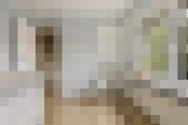 Douwes Dekkerstraat 11 Sliedrecht thumbnail 15