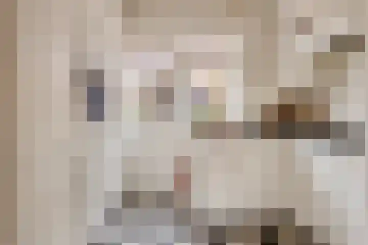 Douwes Dekkerstraat 11 Sliedrecht thumbnail 7