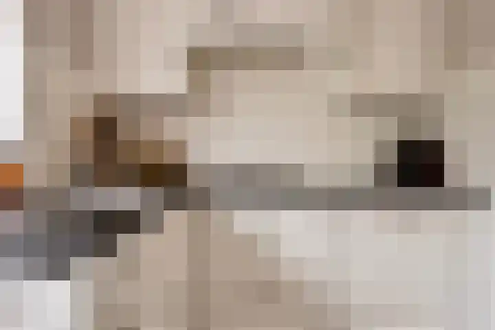 Douwes Dekkerstraat 11 Sliedrecht thumbnail 8
