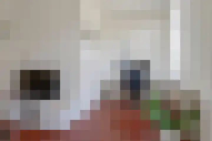 Douwes Dekkerstraat 20 Utrecht thumbnail 14