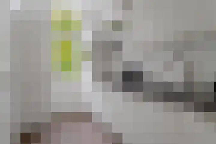 Douwes Dekkerstraat 20 Utrecht thumbnail 21