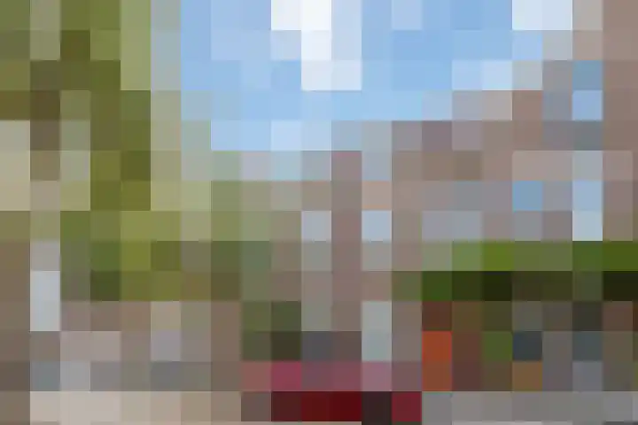 Douwes Dekkerstraat 20 Utrecht thumbnail 6